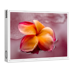 raxxa Premium-Puzzle: exotisch