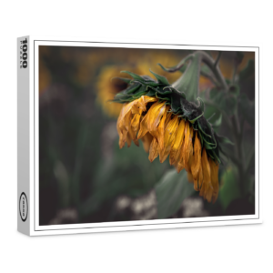 raxxa Premium-Puzzle: Sonnenblume