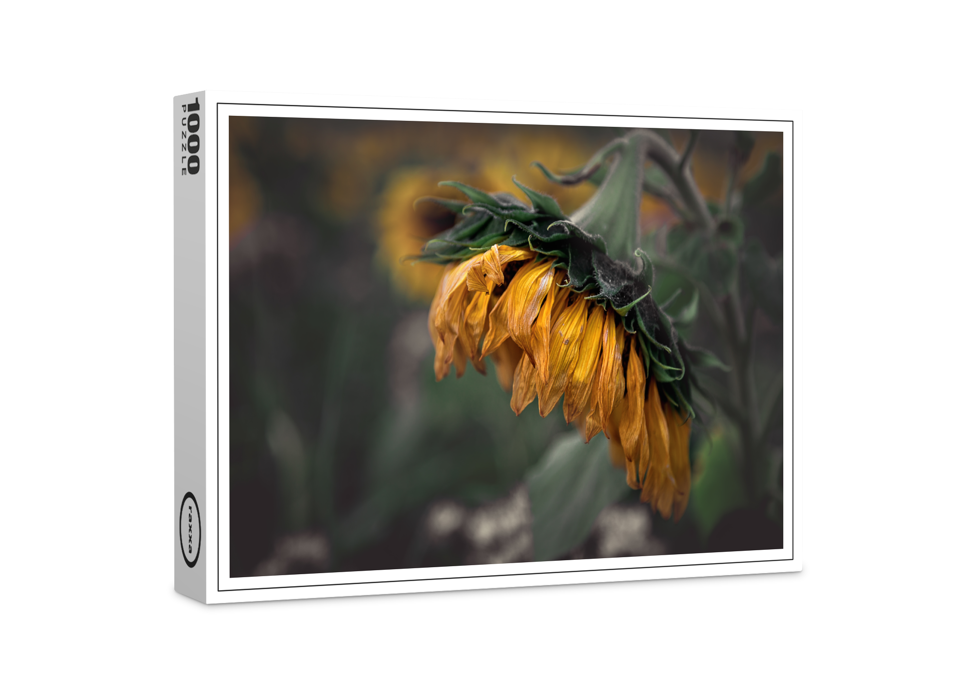 raxxa Premium-Puzzle: Sonnenblume