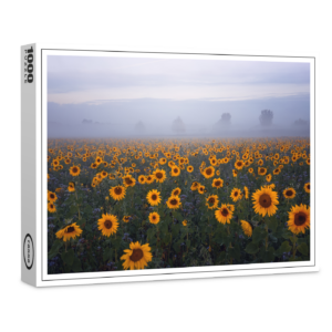 raxxa Premium-Puzzle: Sonnenblumen im Nebel