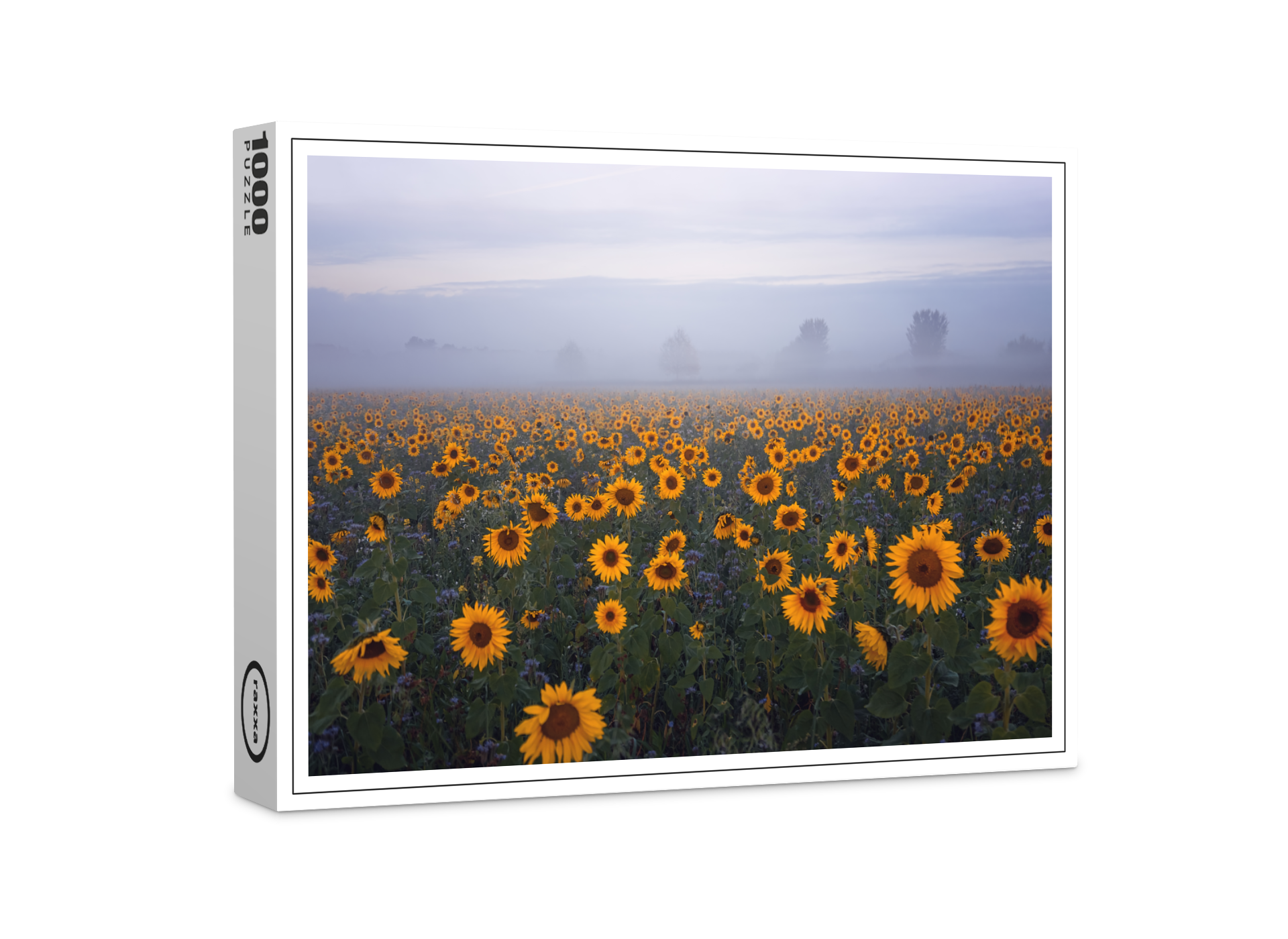 raxxa Premium-Puzzle: Sonnenblumen im Nebel