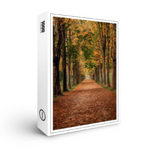 raxxa Premium-Puzzle: Herbstallee