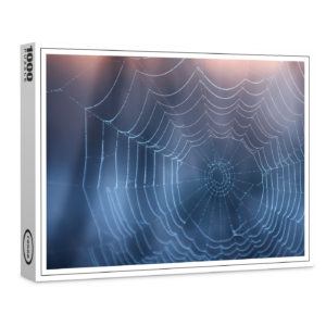 raxxa Premium-Puzzle: Spinnennetz