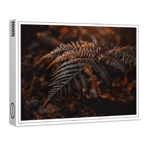 raxxa Premium-Puzzle: Farn