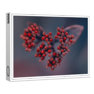 raxxa Premium-Puzzle: Holunderliebe