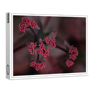 raxxa Premium-Puzzle: roter Holunder