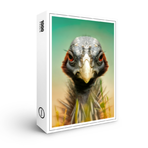 raxxa Premium-Puzzle: Gack