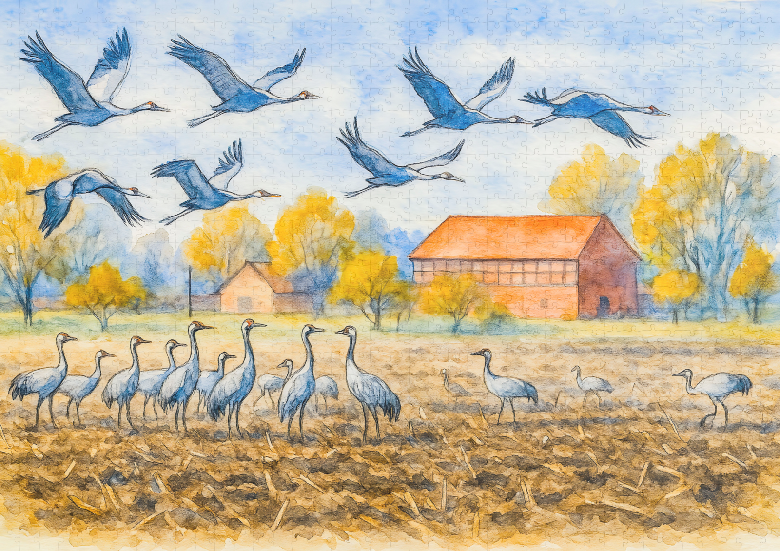raxxa Premium-Puzzle: Crane in field rhinow aquarell havelland – Bild 2