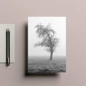 raxxa Postkarte: im Morgennebel