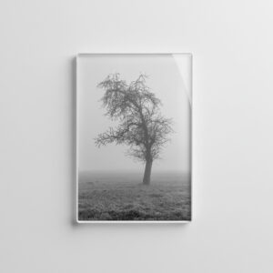 raxxa Glas-Magnet: im Morgennebel