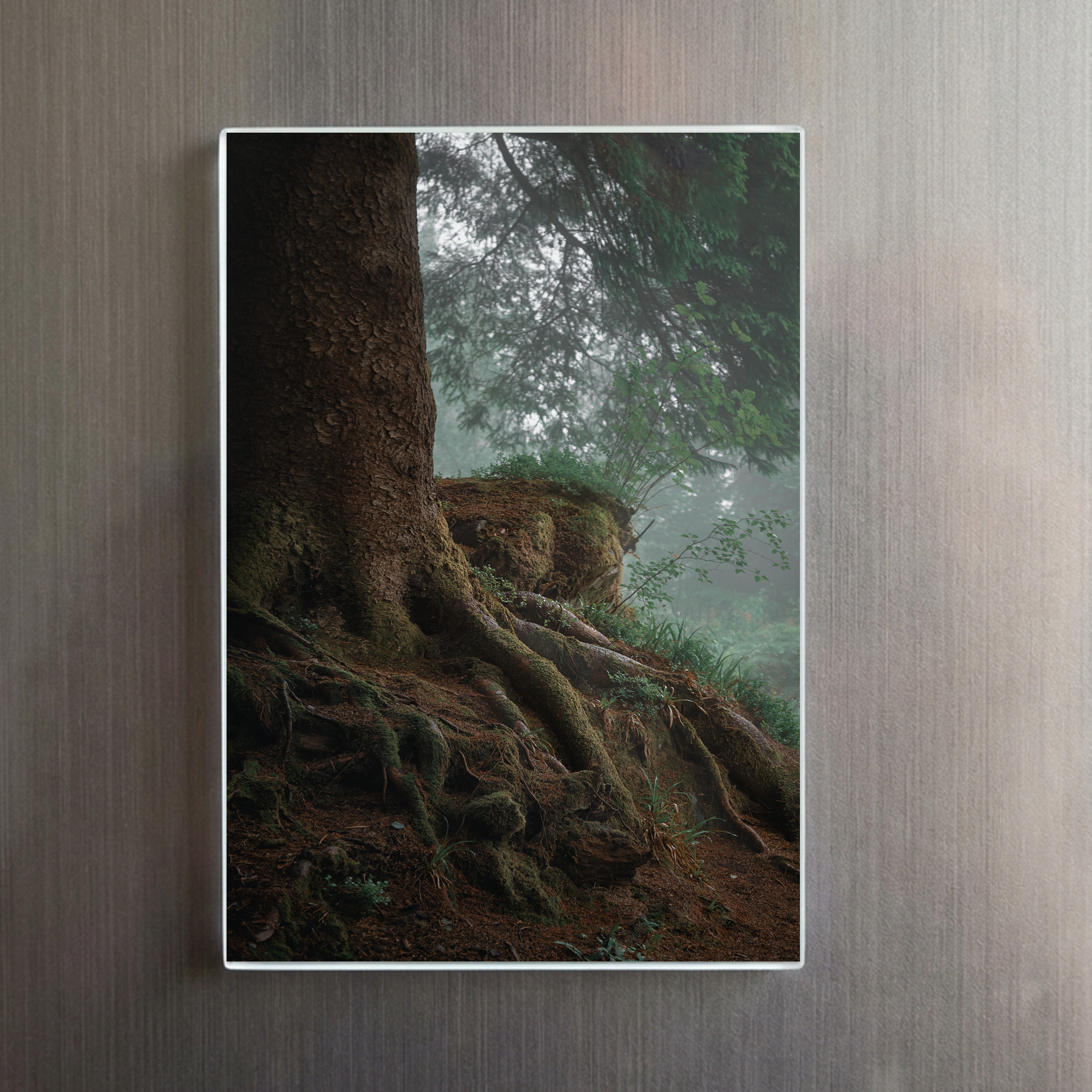 raxxa Glas-Magnet: verwurzelt - Imagen 2