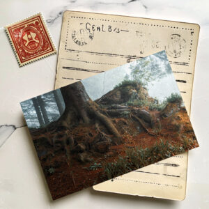 raxxa Postkarte: Märchenwald