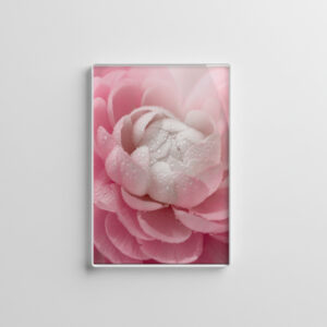 raxxa Glas-Magnet: Zarte Blume