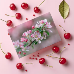 raxxa Postkarte: Apfelblüte