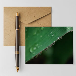 raxxa Postkarte: Morgentau