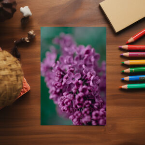 raxxa Postkarte: Flieder