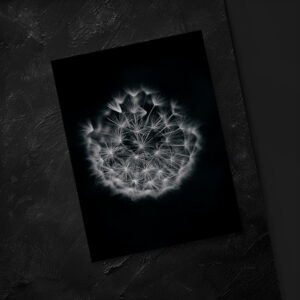 raxxa Postkarte: Pusteblume 3