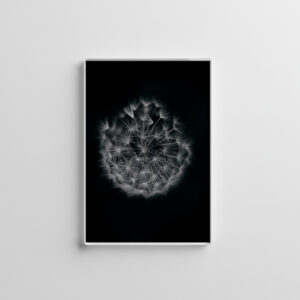 raxxa Glas-Magnet: Pusteblume 3