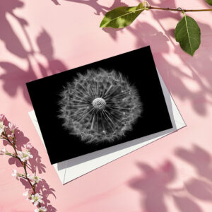 raxxa Postkarte: Pusteblume 2