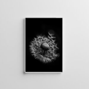 raxxa Glas-Magnet: Pusteblume 1
