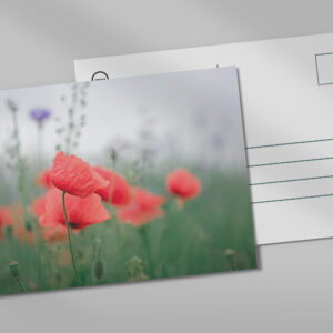 raxxa Postkarte: Klatschmohn