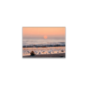 raxxa Glas-Magnet: Sunset on the Beach