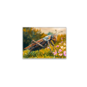raxxa Glas-Magnet: Metal Grasshopper Garden Sculpture