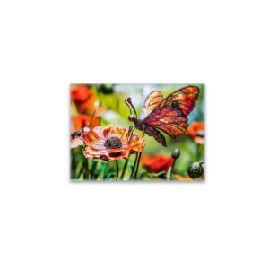 raxxa Glas-Magnet: Metal Butterfly on Poppy flower