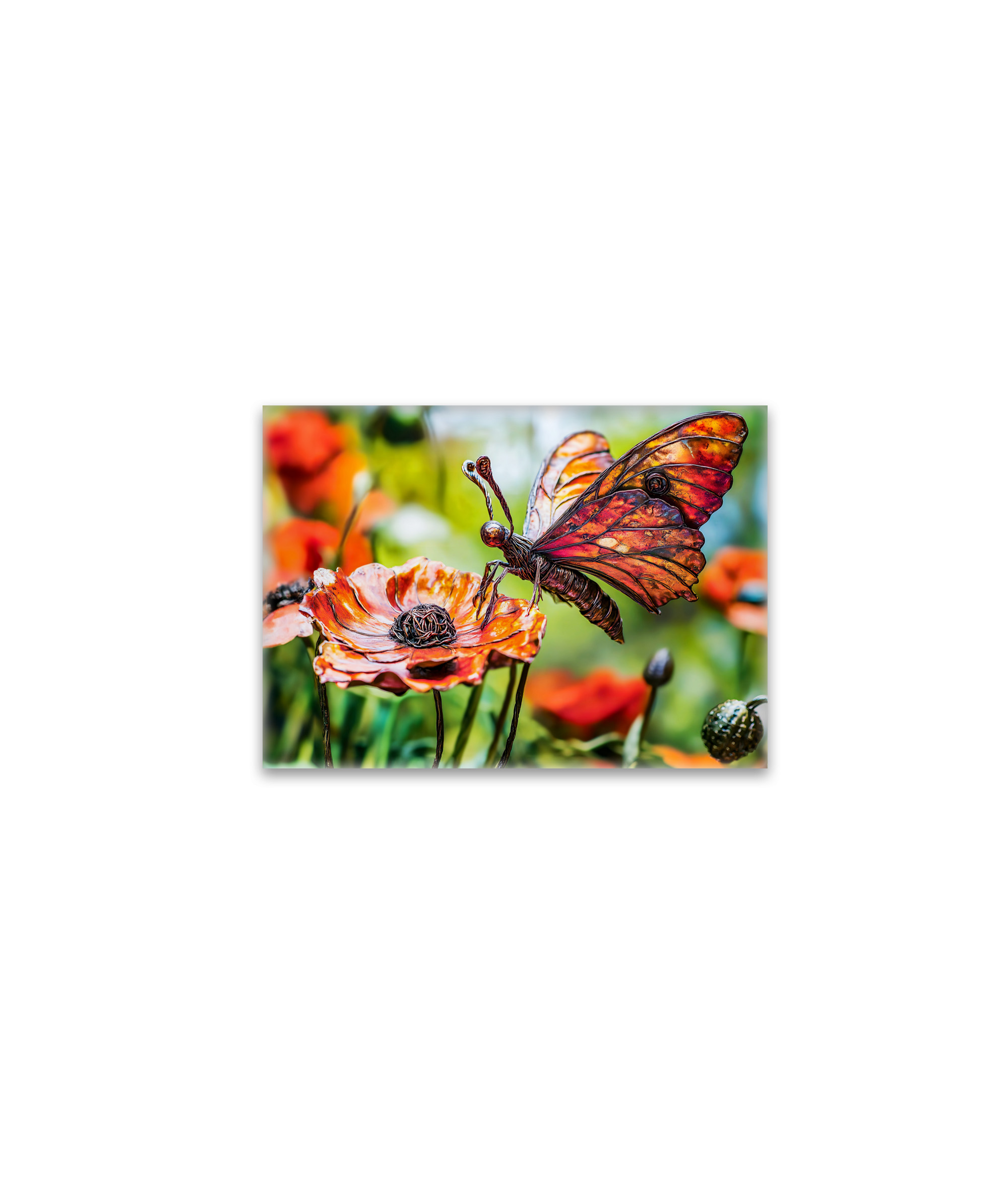 raxxa Glas-Magnet: Metal Butterfly on Poppy flower