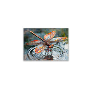 raxxa Glas-Magnet: Metal Dragonfly Over Water