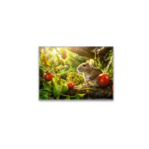 raxxa Glas-Magnet: Little mouse in the backyard of garden between tomatos sitting in sun.