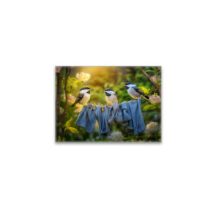 raxxa Glas-Magnet: Young bird great tits sitting in laundry line in garden.