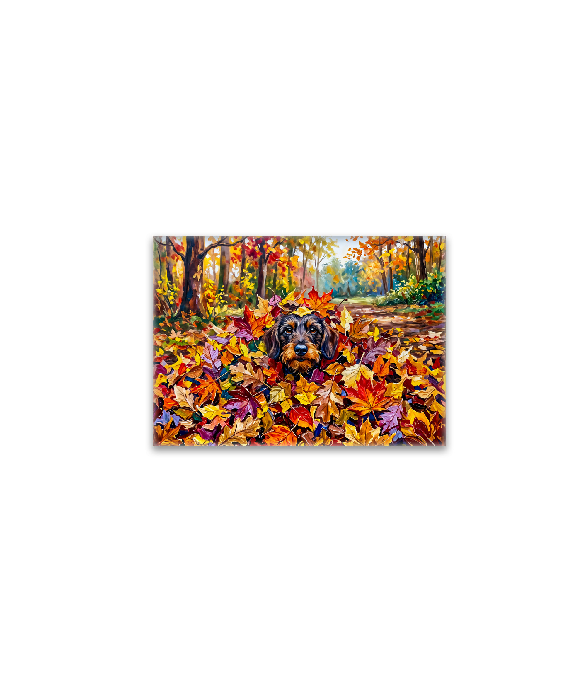 raxxa Glas-Magnet: Dachshund Resting in Colorful Autumn Leaves