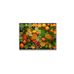 raxxa Glas-Magnet: Arrangement mit Zitrusfrüchten