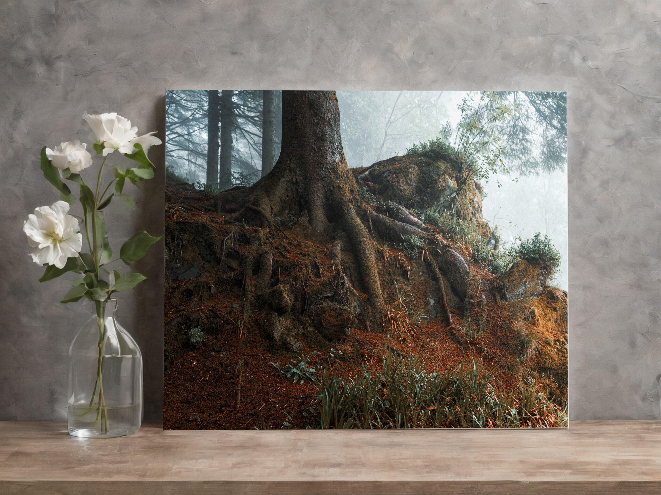raxxa Canva: Märchenwald