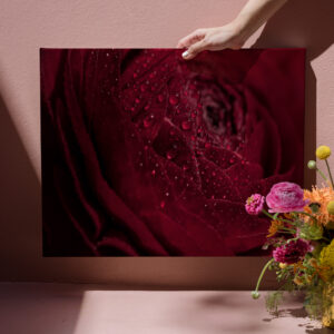 raxxa Canva: Regentropfen auf rot