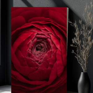 raxxa Canva: Rot