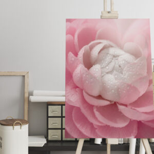 raxxa Canva: Zarte Blume