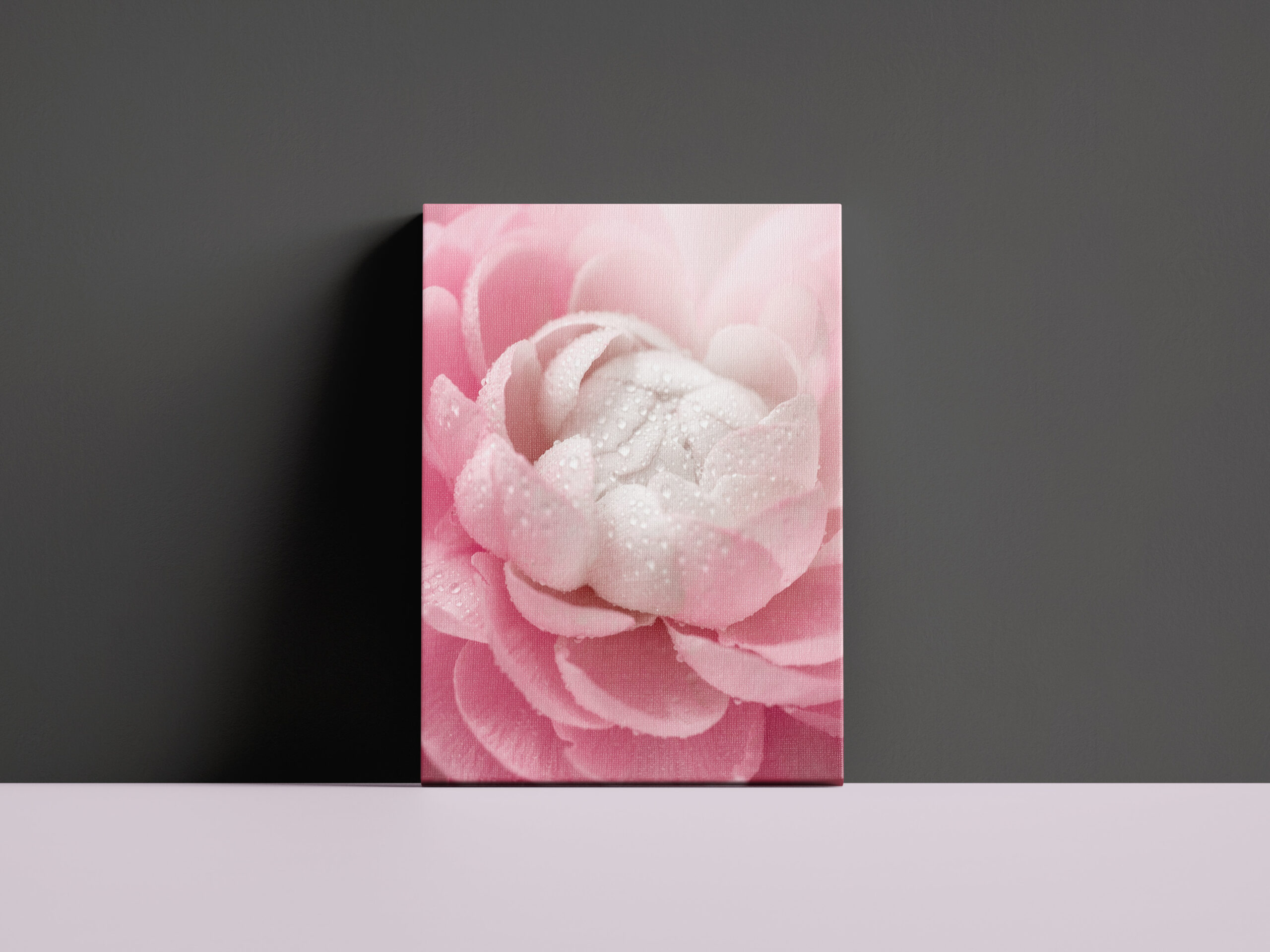 raxxa Canva: Zarte Blume - Imagen 2