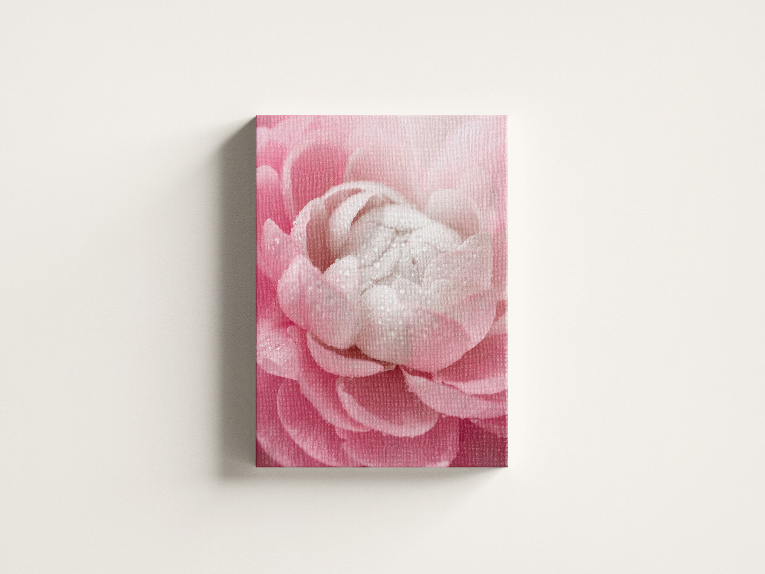 raxxa Canva: Zarte Blume - Imagen 3