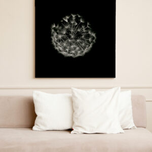 raxxa Canva: Pusteblume 3