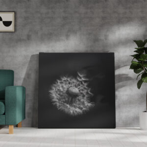 raxxa Canva: Pusteblume 1