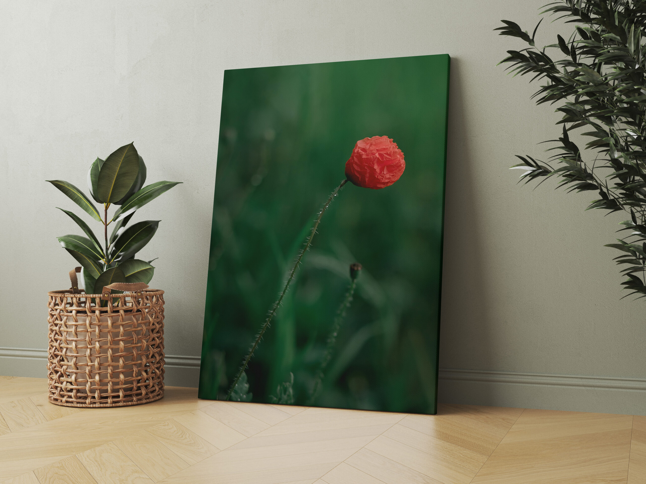 raxxa Canva: Aufgeblüht
