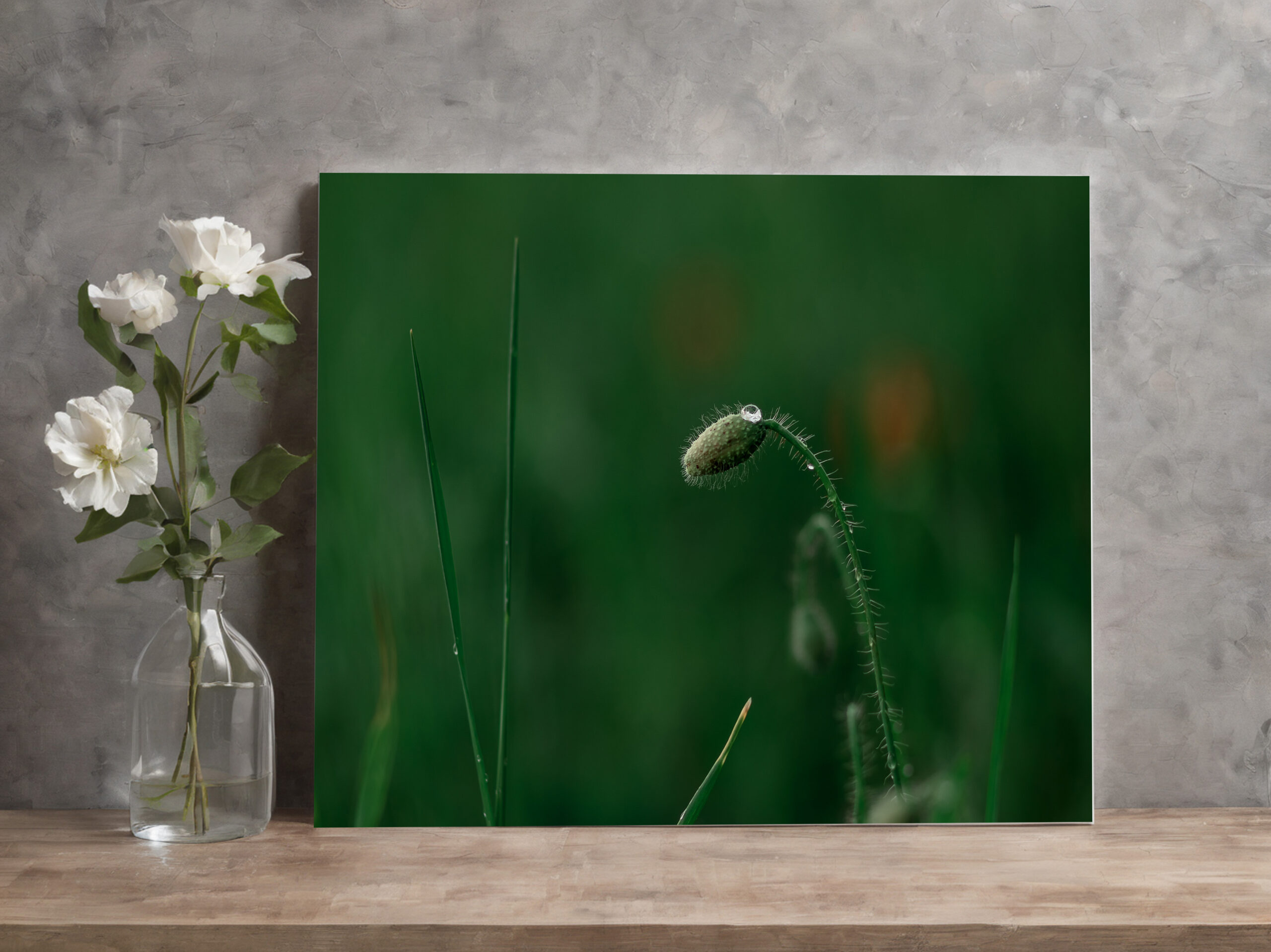 raxxa Canva: Knospe mit Morgentau - immagine 2