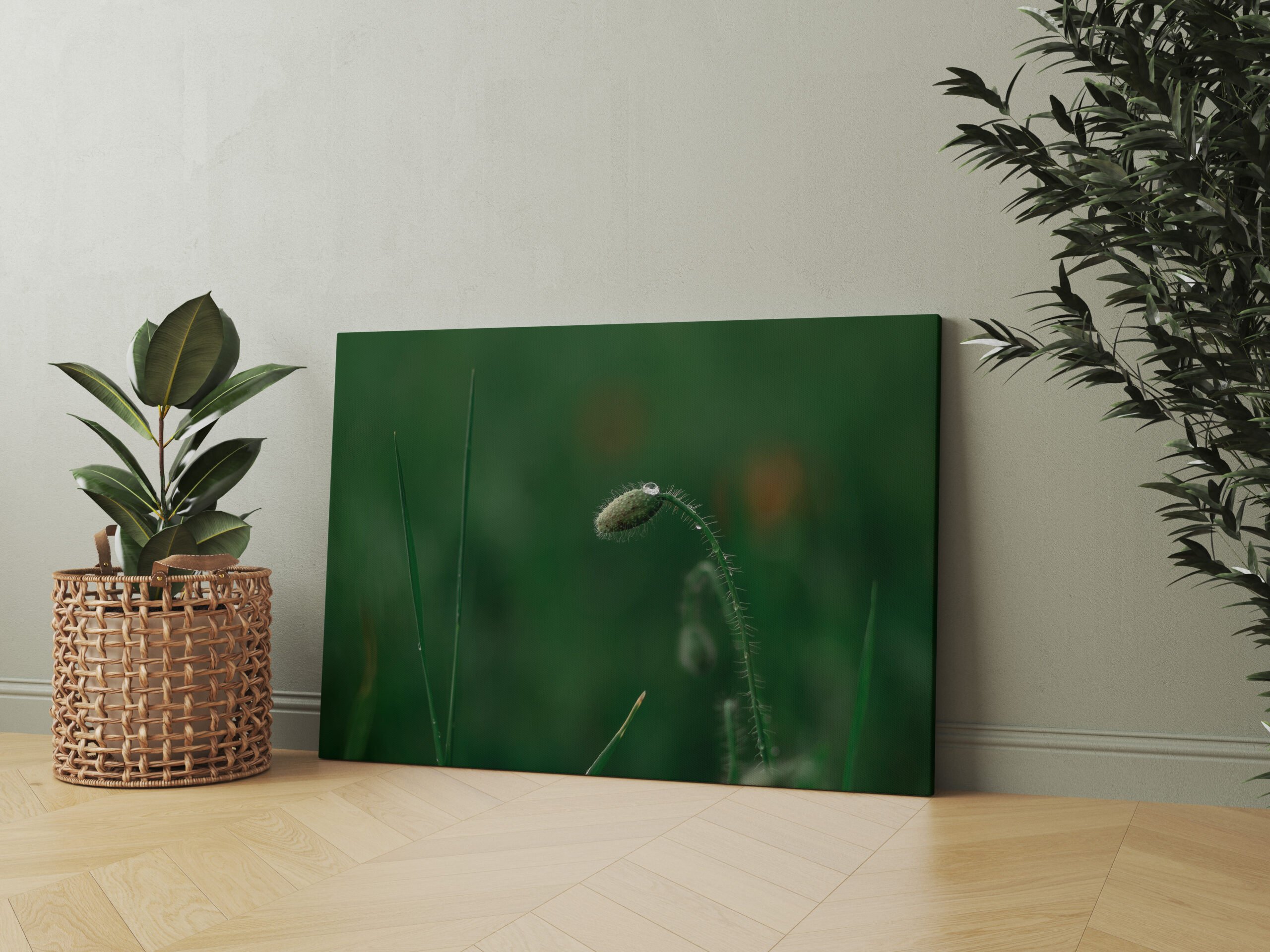 raxxa Canva: Knospe mit Morgentau