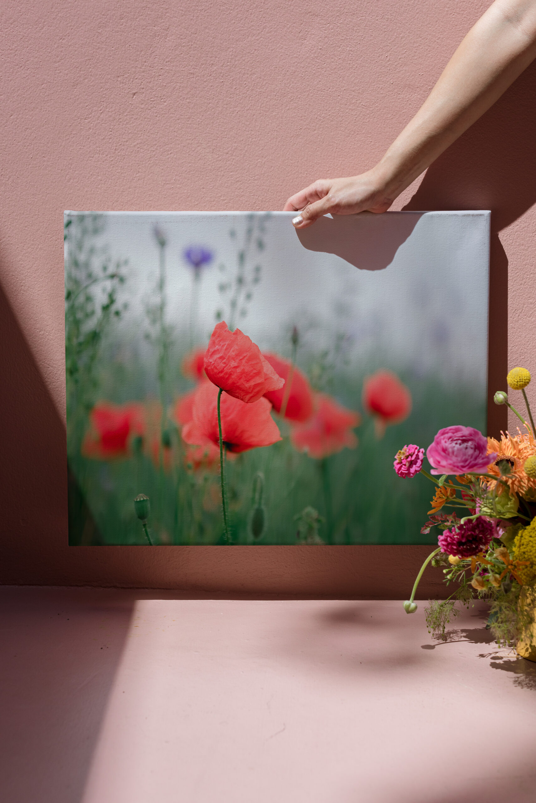 raxxa Canva: Klatschmohn – Bild 3