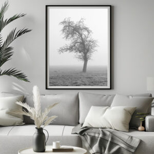 Poster: im Morgennebel