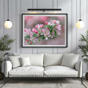 Poster: Apfelblüte