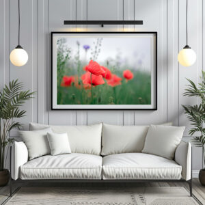 Poster: Klatschmohn