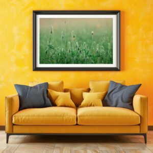 Poster: Mohnblumenwiese